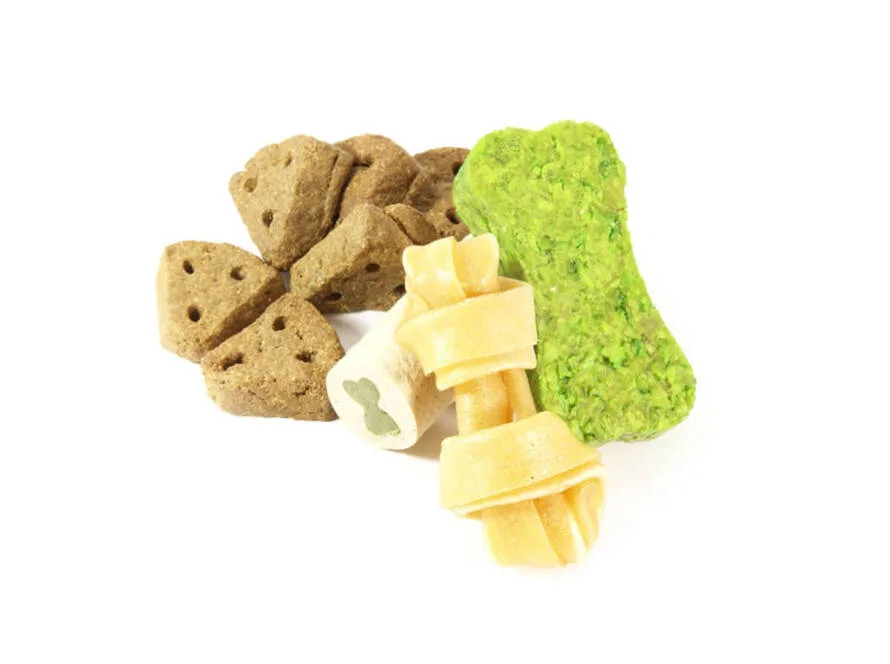 interactive chewing toys for dogs